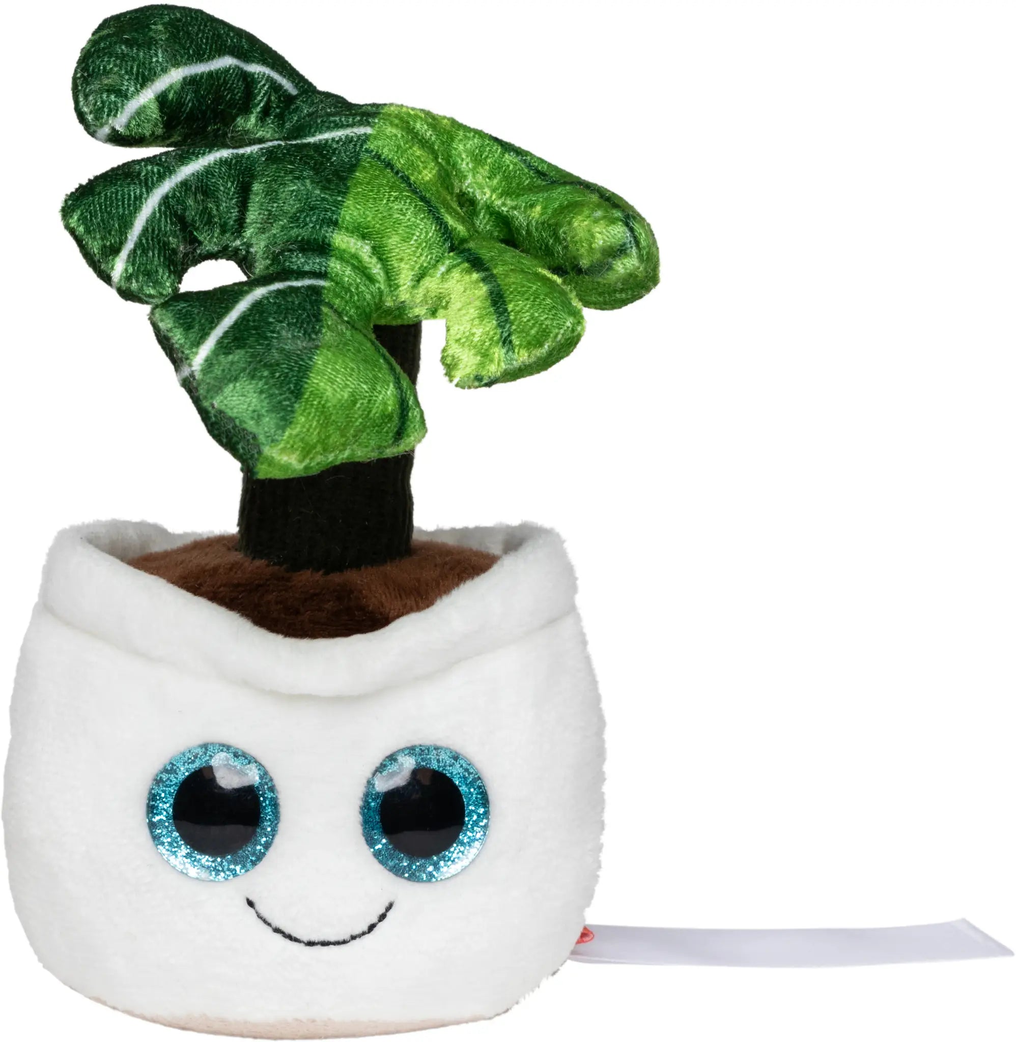 all-groups Schmoozies Evergreenies Monstera