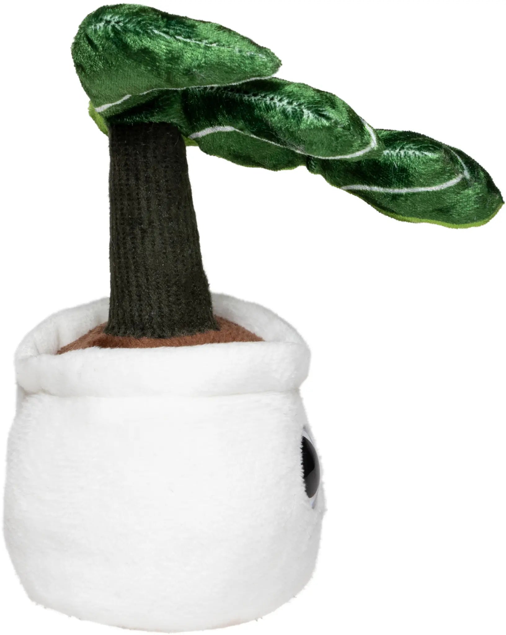 all-groups Schmoozies Evergreenies Monstera