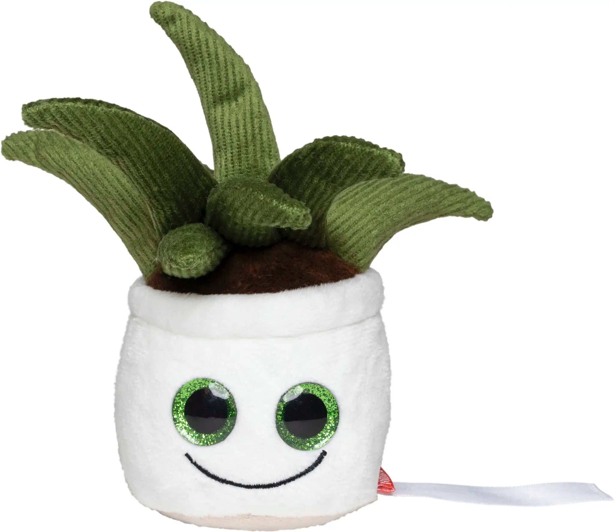 all-groups Schmoozies Evergreenies Aloe Vera