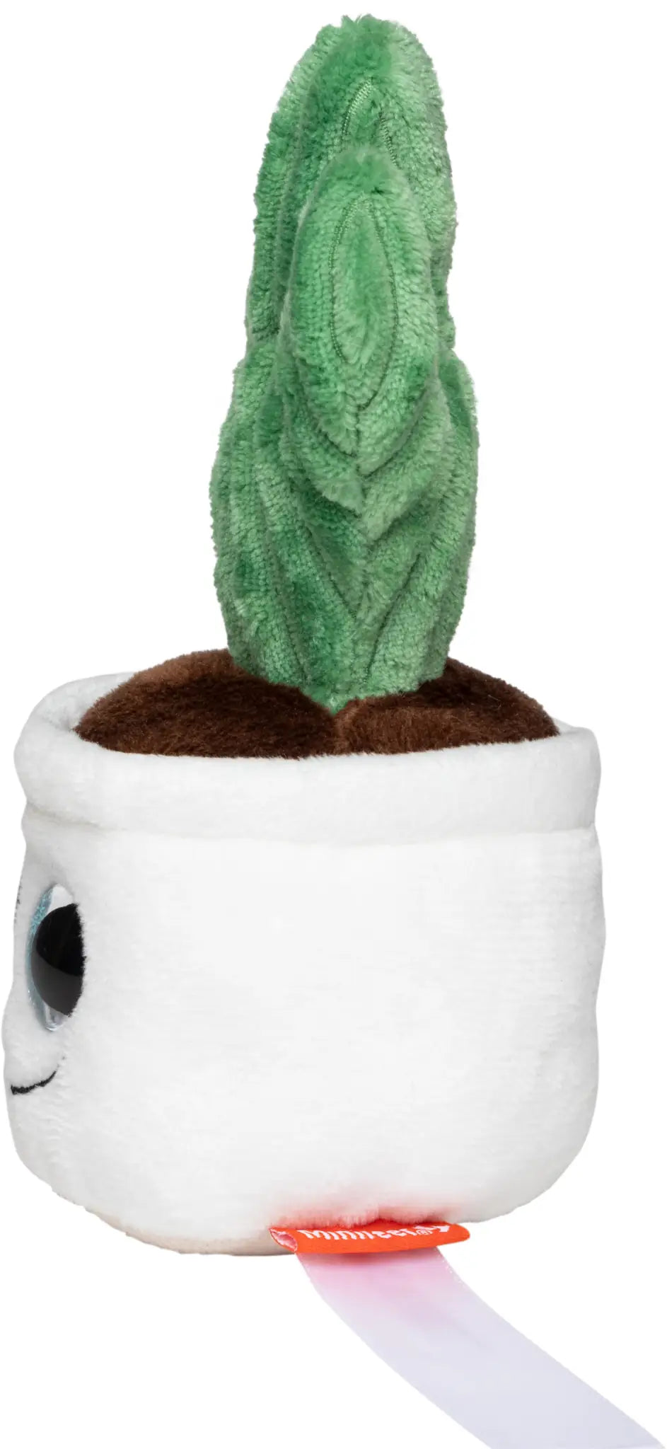 all-groups Schmoozies Evergreenies Cactus