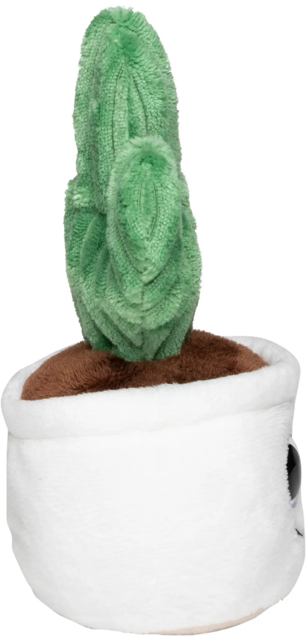 all-groups Schmoozies Evergreenies Cactus