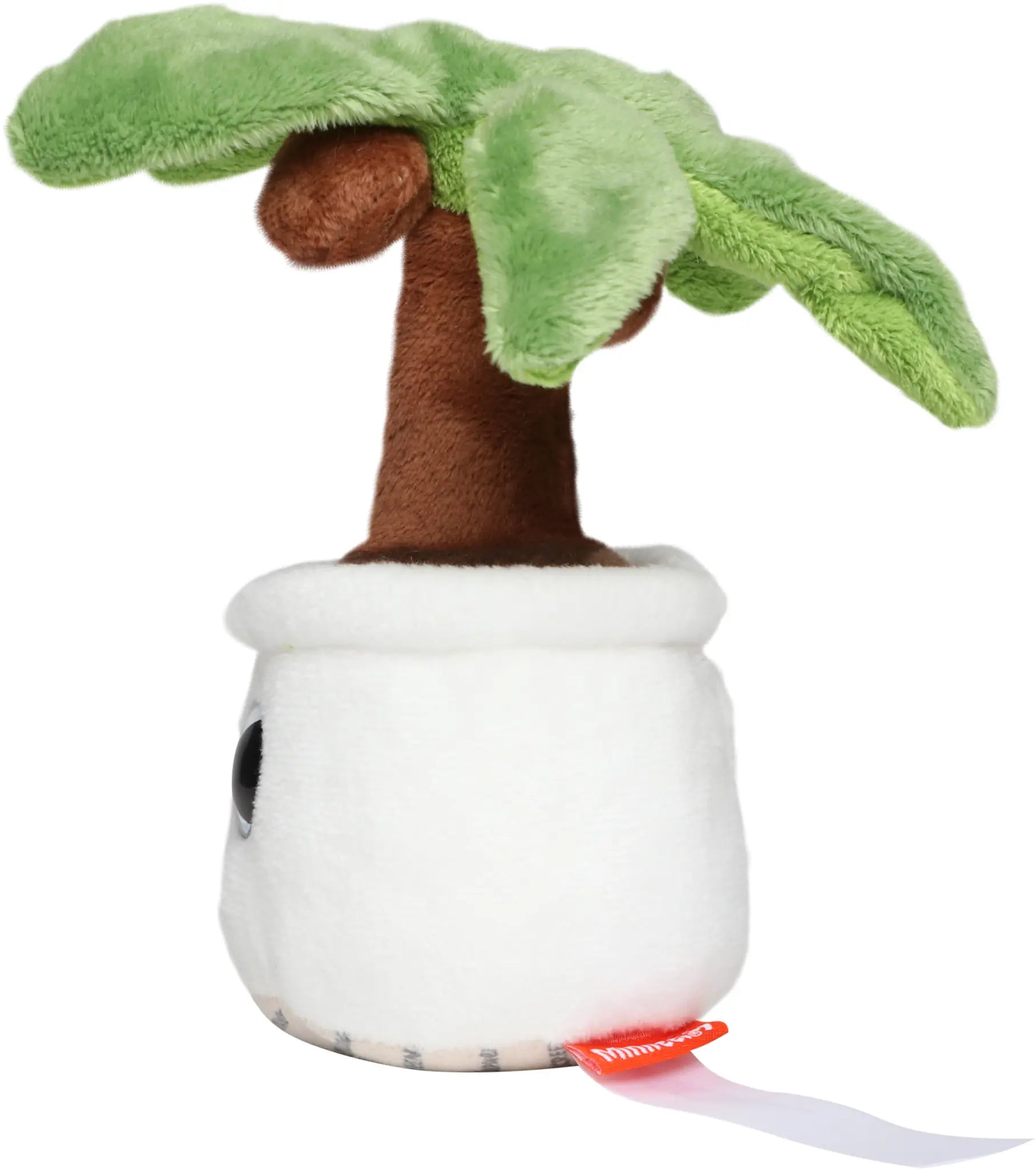 all-groups Schmoozies Evergreenies palm tree