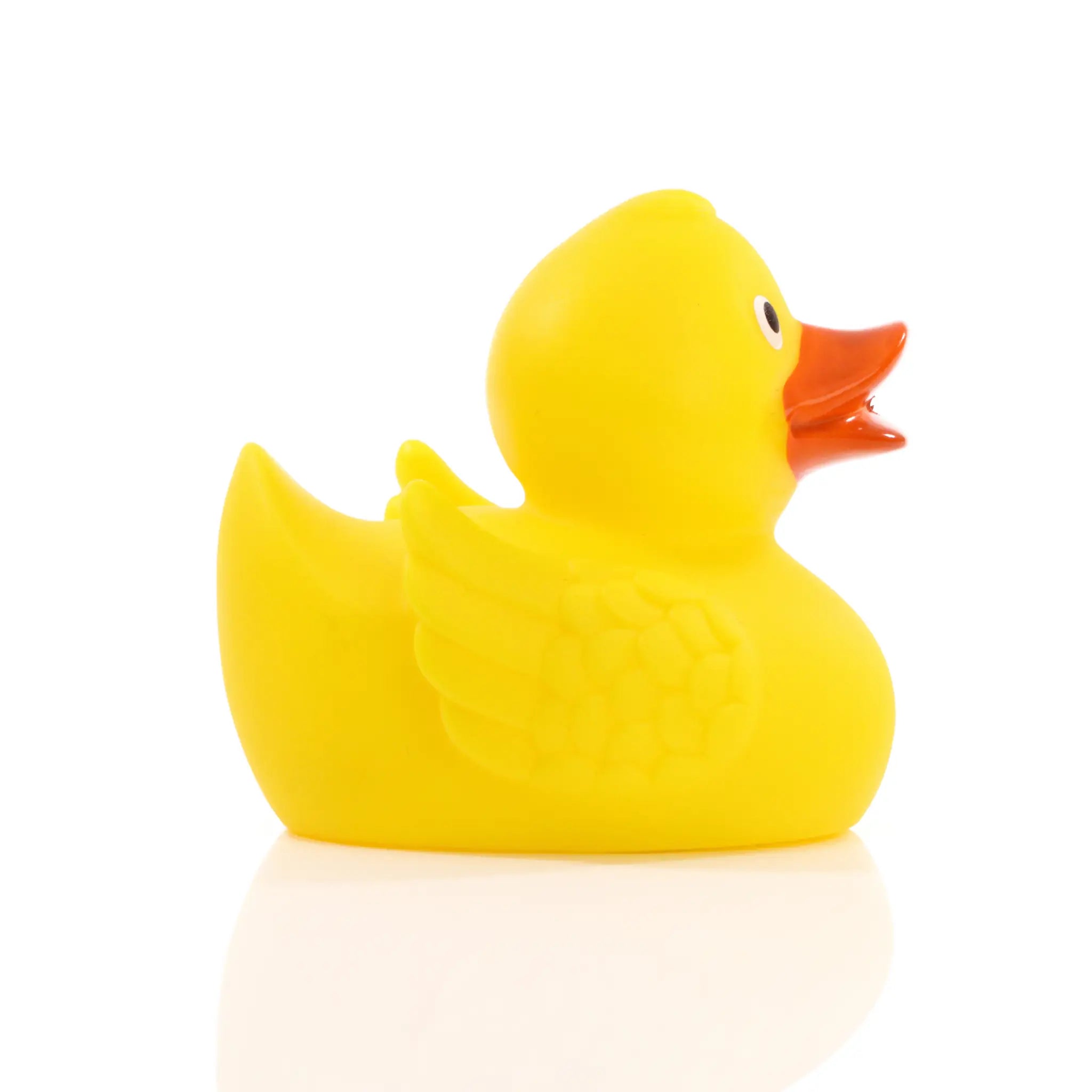 all-groups Schnabels Racing Duck With Metal Plate