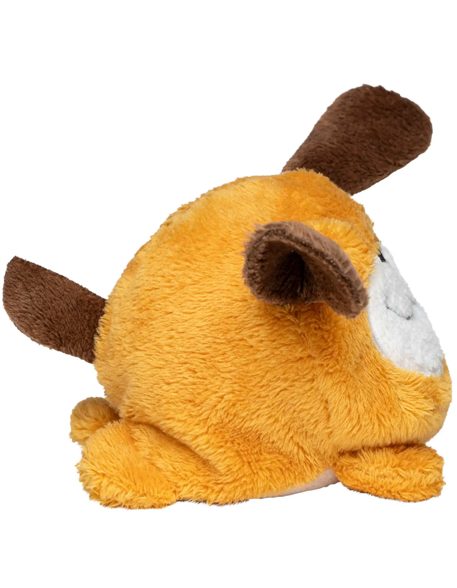 all-groups Schmoozies Dog