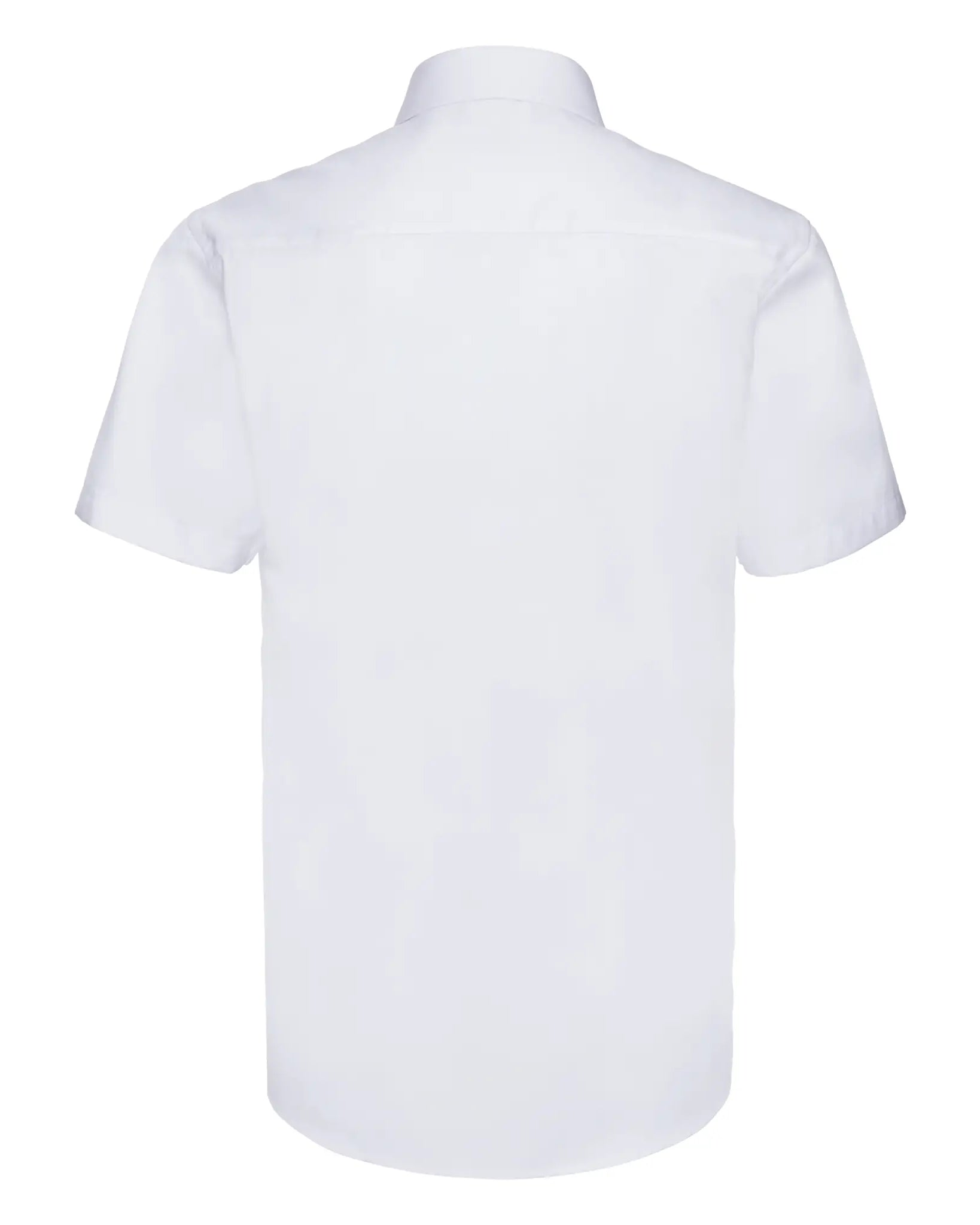 79d884dffb0c6fbde32f713134a29b06