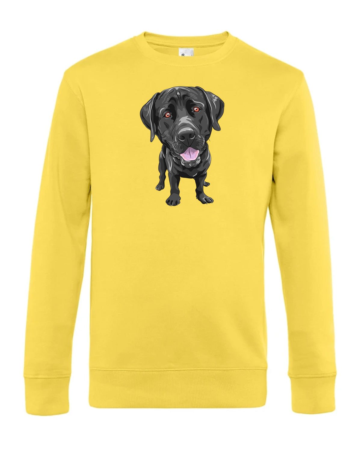 bundle-src:https://cdn.shopify.com/s/files/1/0946/1078/4639/files/WU01K_P_BC_205_01.jpg?v=1773063264