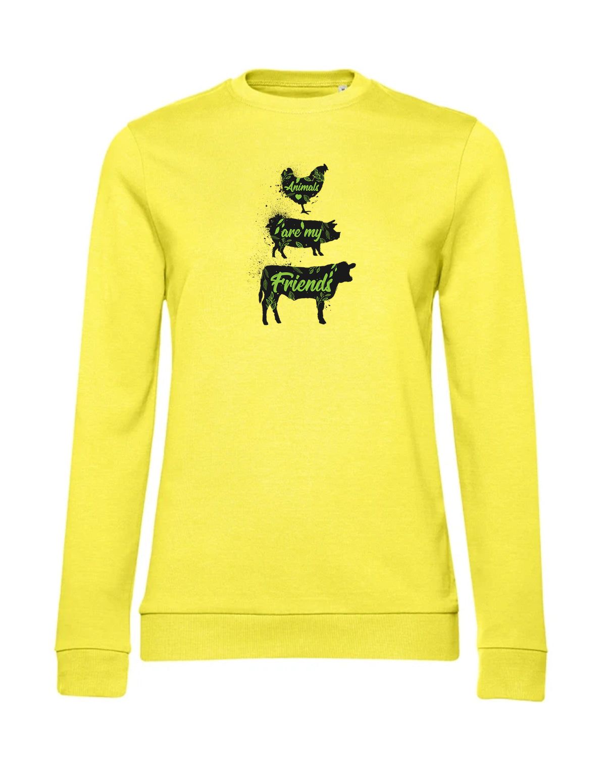 bundle-src:https://cdn.shopify.com/s/files/1/0946/1078/4639/files/WW02W_P_BC_201_01.jpg?v=1773067021