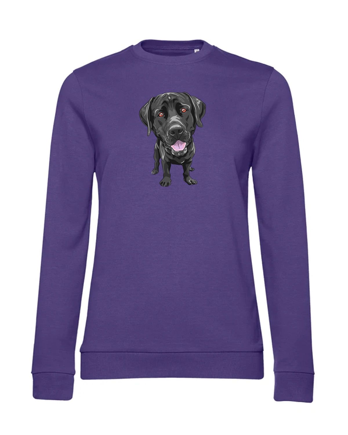 bundle-src:https://cdn.shopify.com/s/files/1/0946/1078/4639/files/WW02W_P_BC_351_01.jpg?v=1773067021