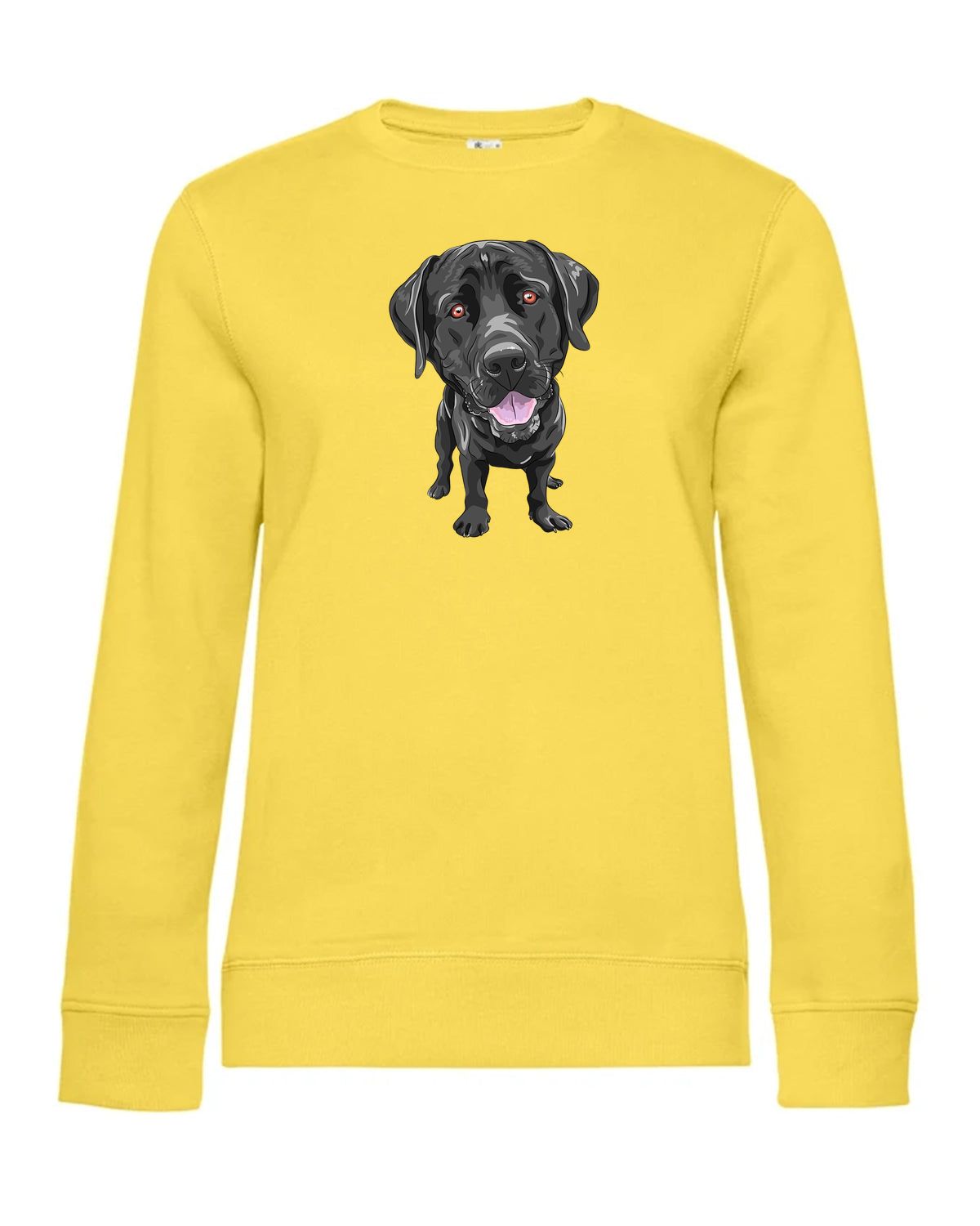 bundle-src:https://cdn.shopify.com/s/files/1/0946/1078/4639/files/WW01Q_P_BC_205_01.jpg?v=1773217929