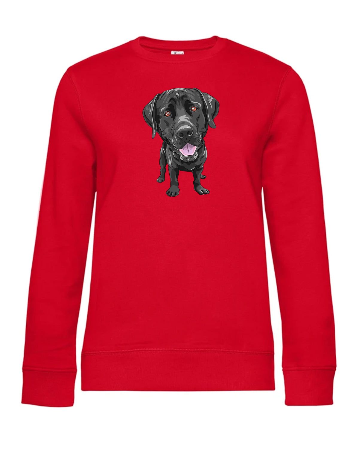 bundle-src:https://cdn.shopify.com/s/files/1/0946/1078/4639/files/WW01Q_P_BC_004_01.jpg?v=1773217929