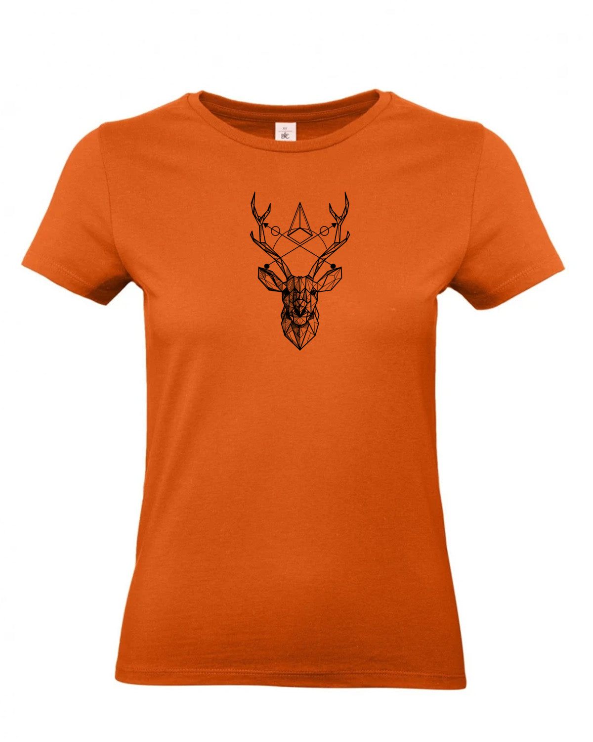 bundle-src:https://cdn.shopify.com/s/files/1/0946/1078/4639/files/TW04T_P_BC_231_01.jpg?v=1772459365