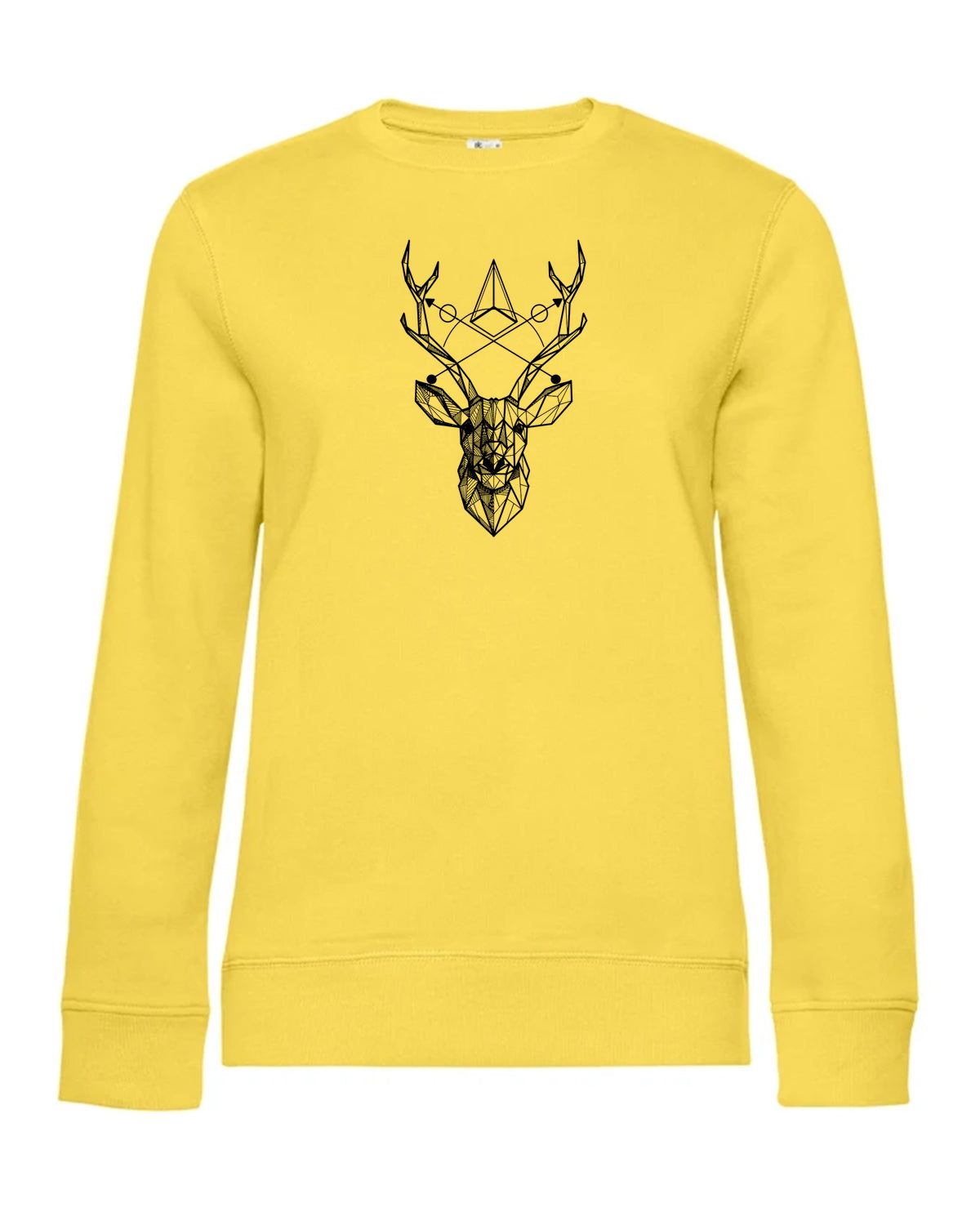 bundle-src:https://cdn.shopify.com/s/files/1/0946/1078/4639/files/WW01Q_P_BC_205_01.jpg?v=1773217929