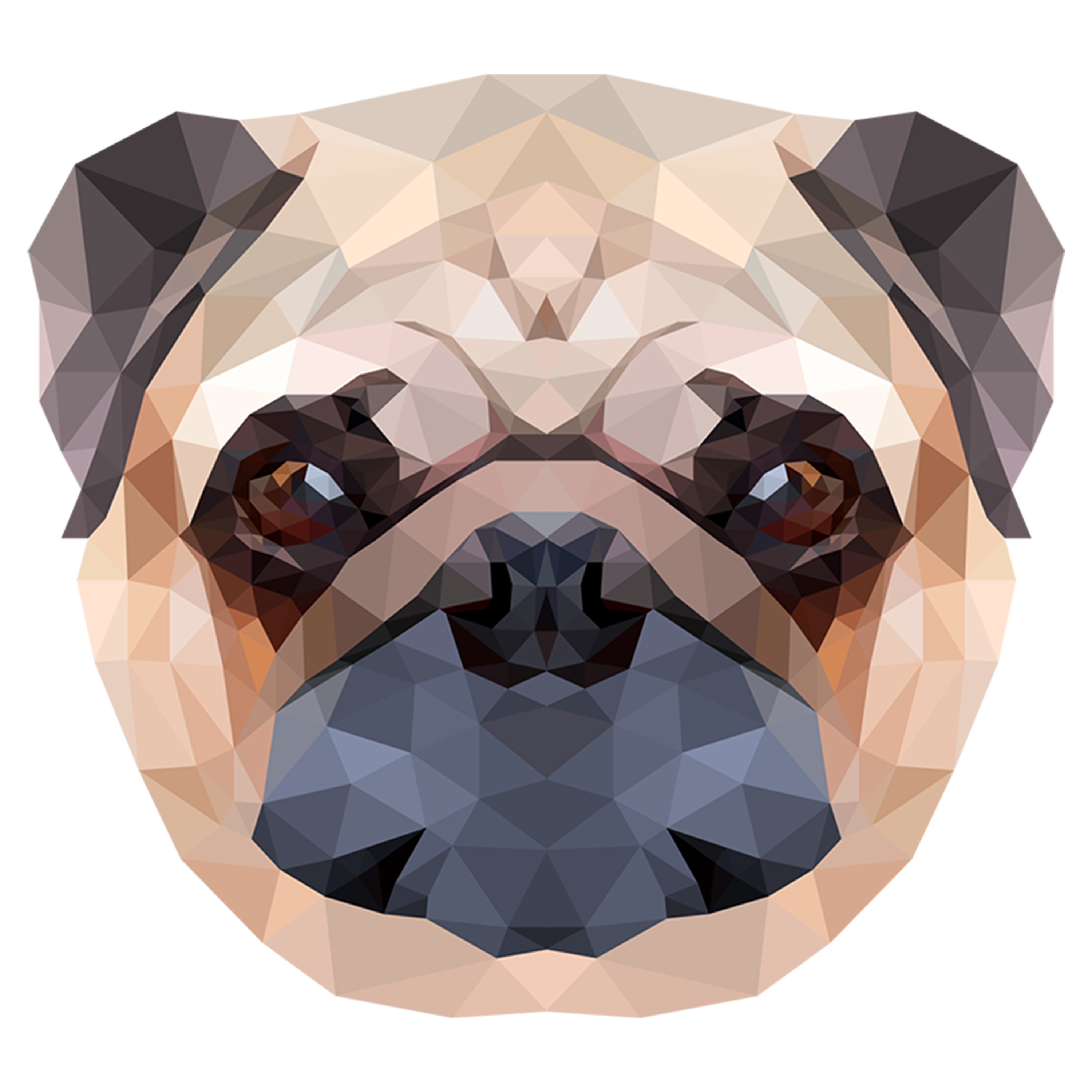 Pug