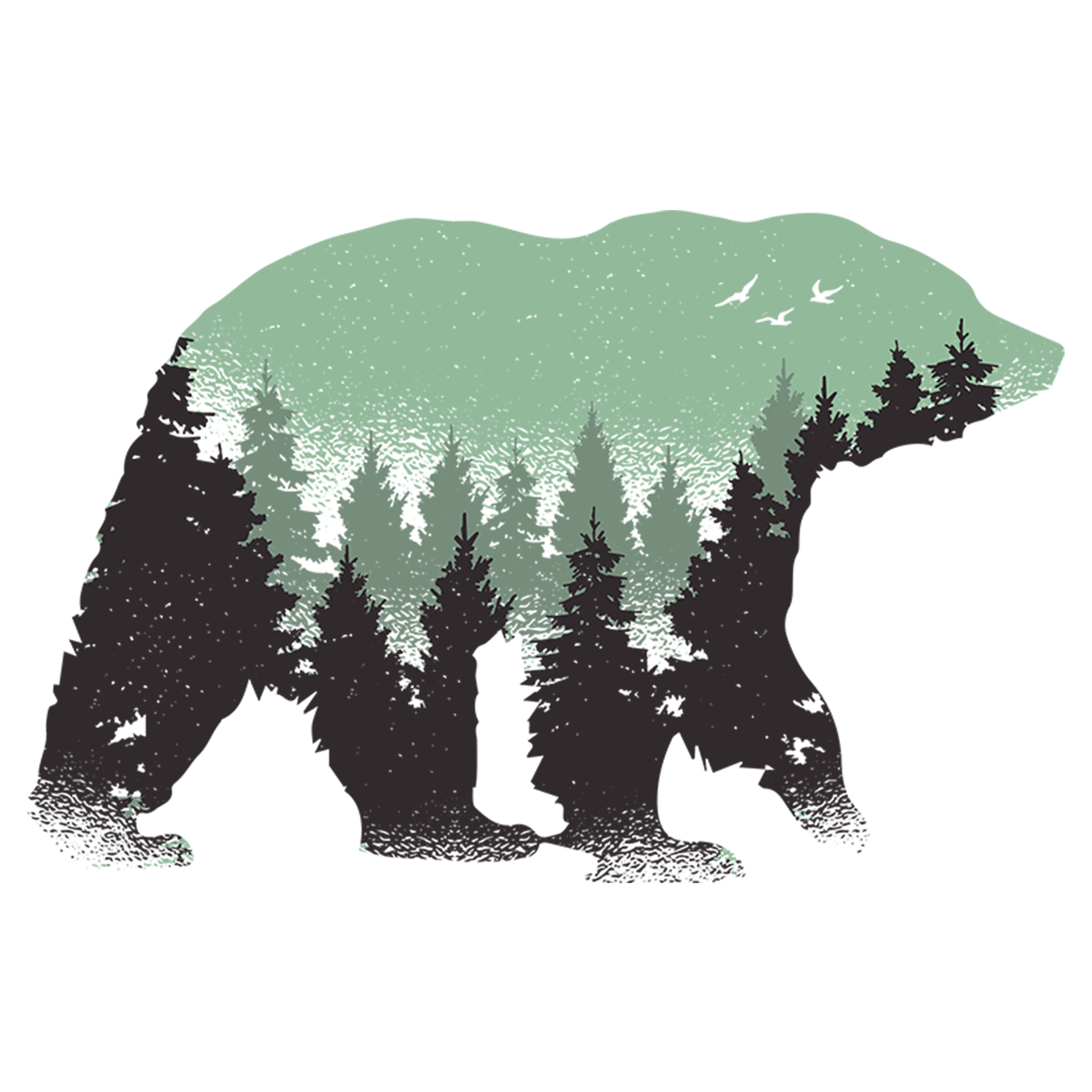 Wild bear