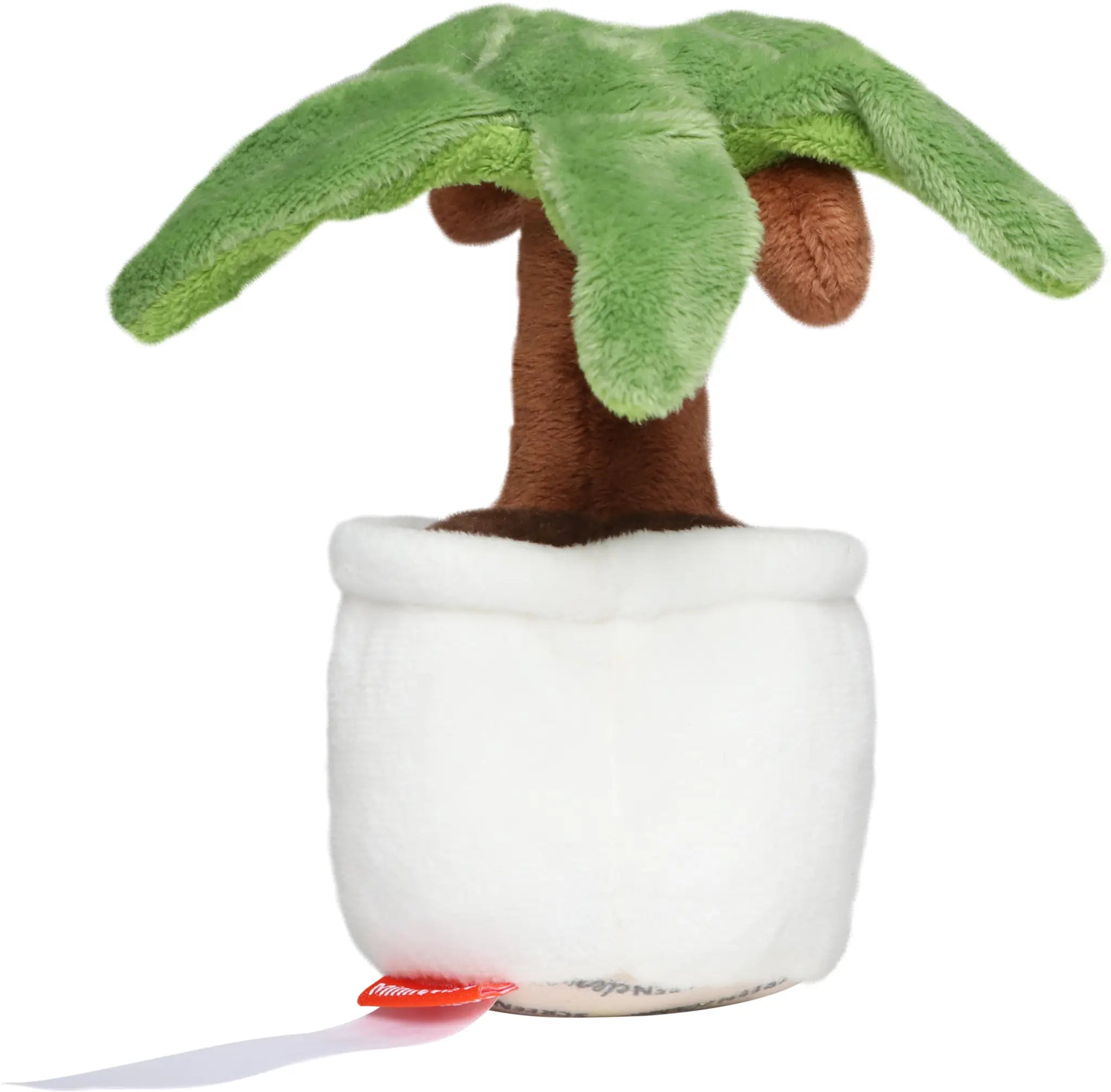 all-groups Schmoozies Evergreenies palm tree