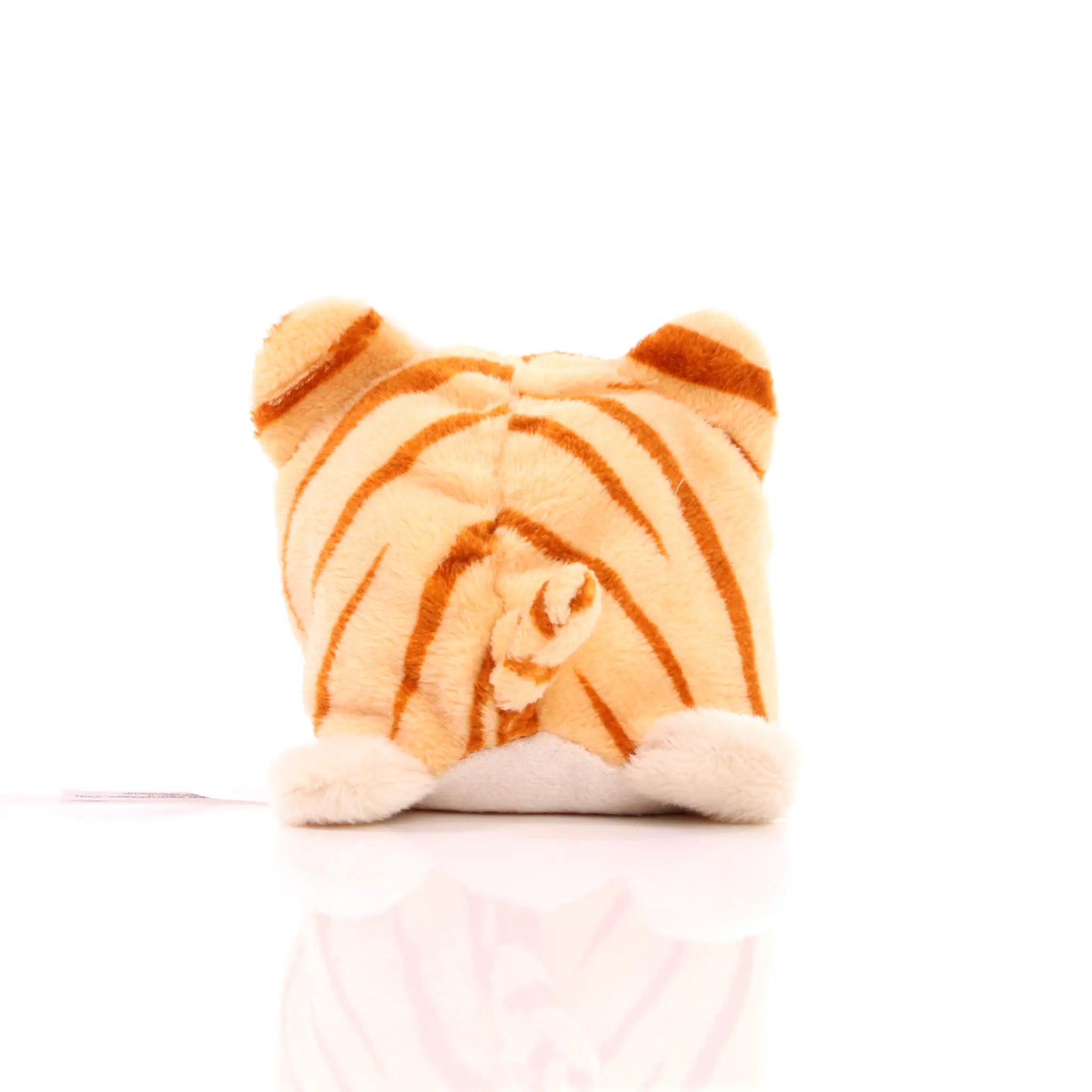 all-groups Schmoozies Cat