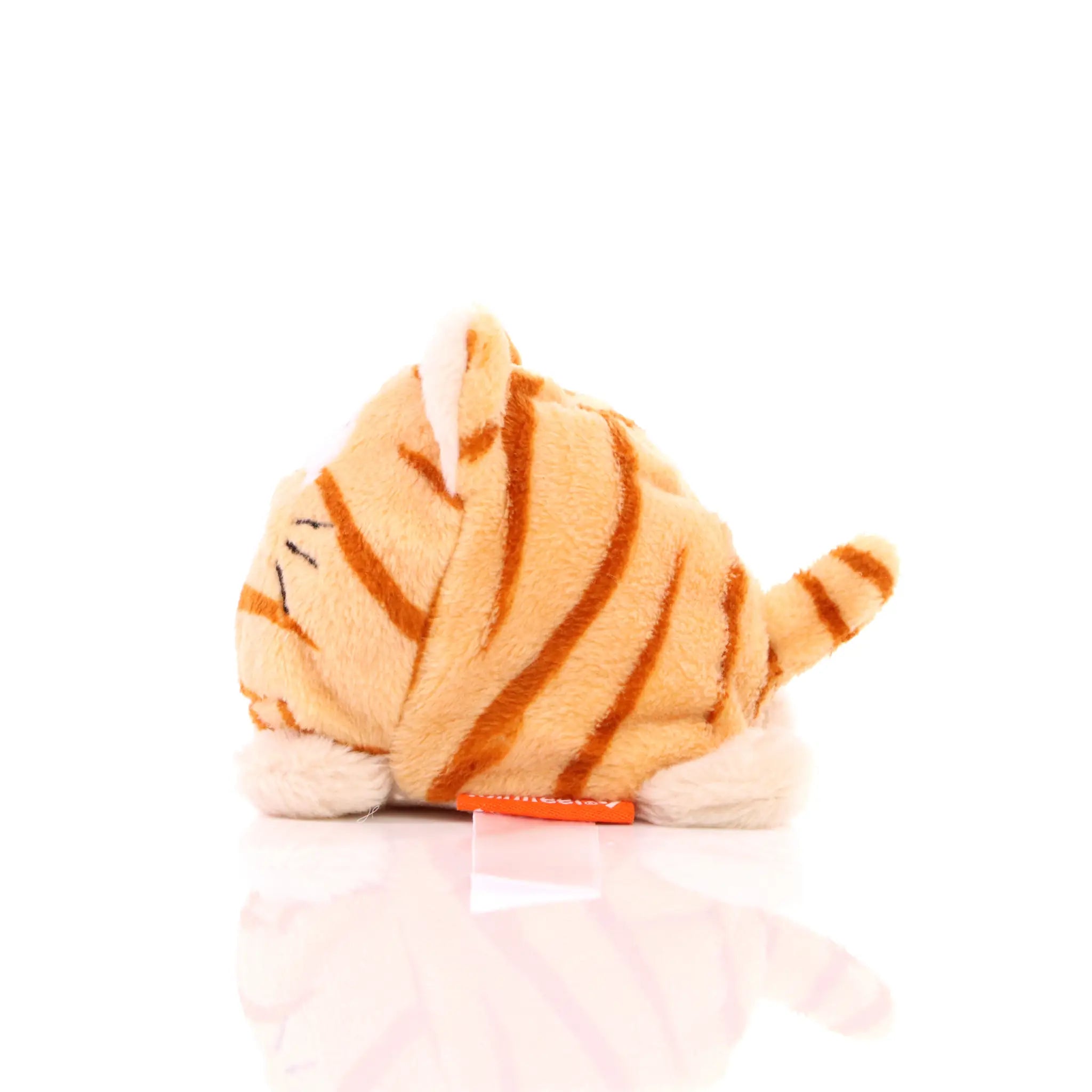 all-groups Schmoozies Cat