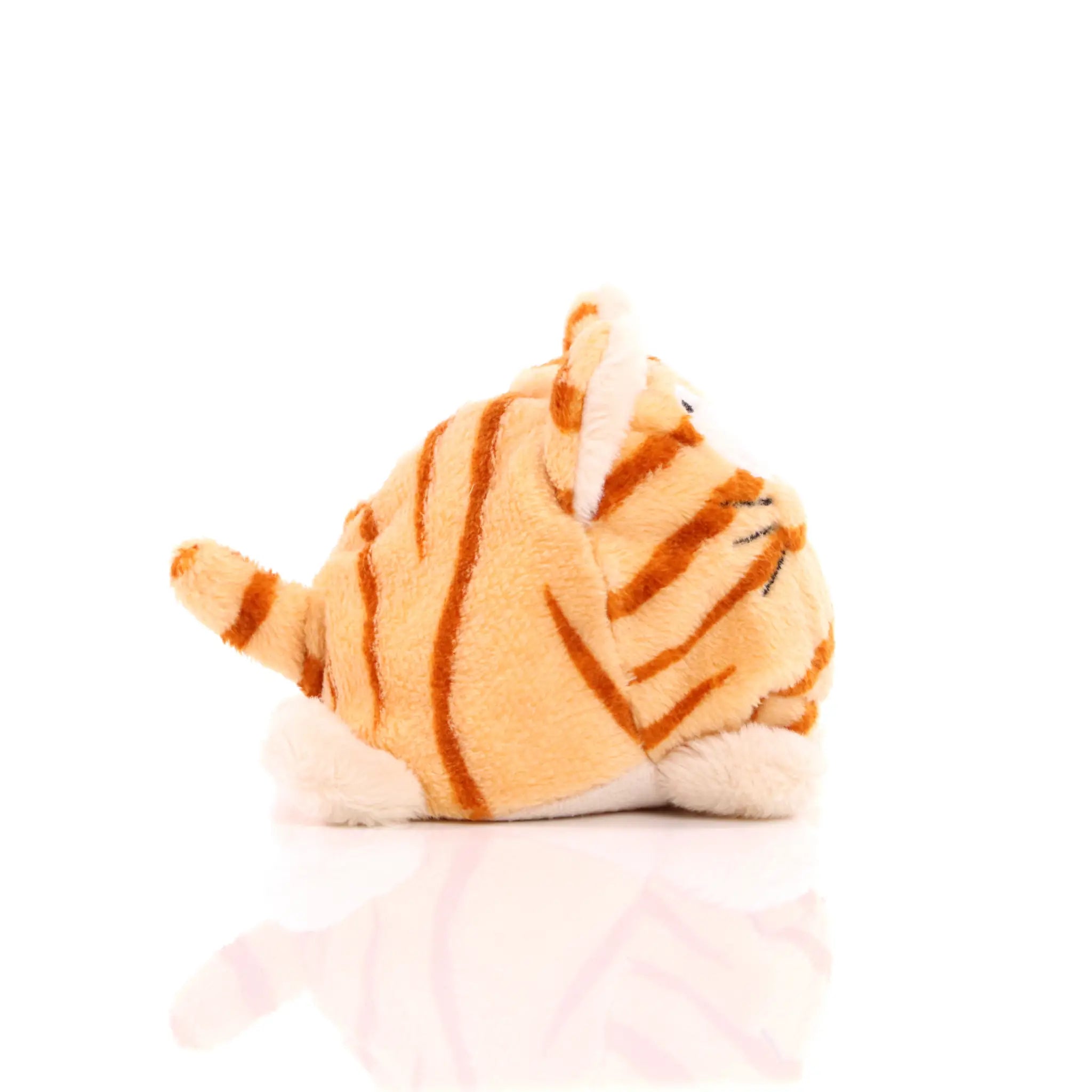 all-groups Schmoozies Cat