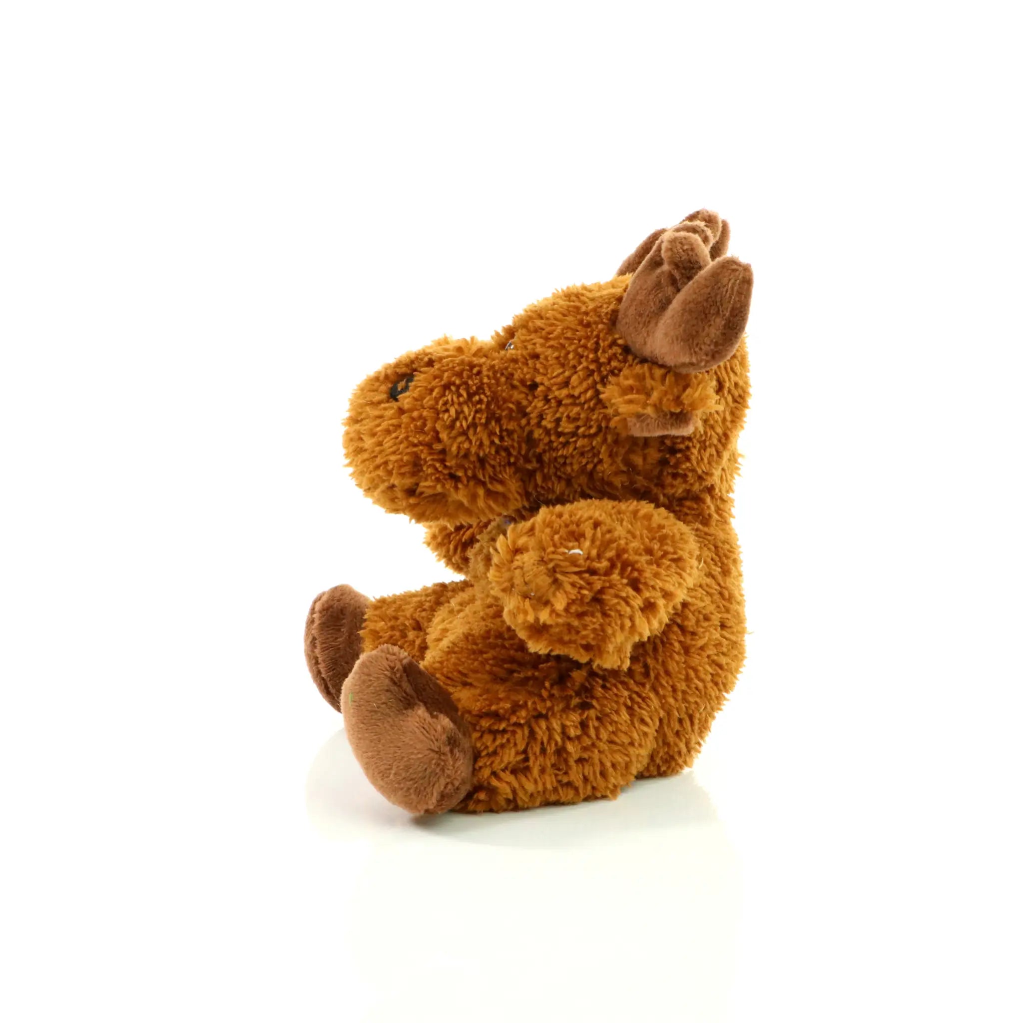 all-groups MiniFeet Moose Caro