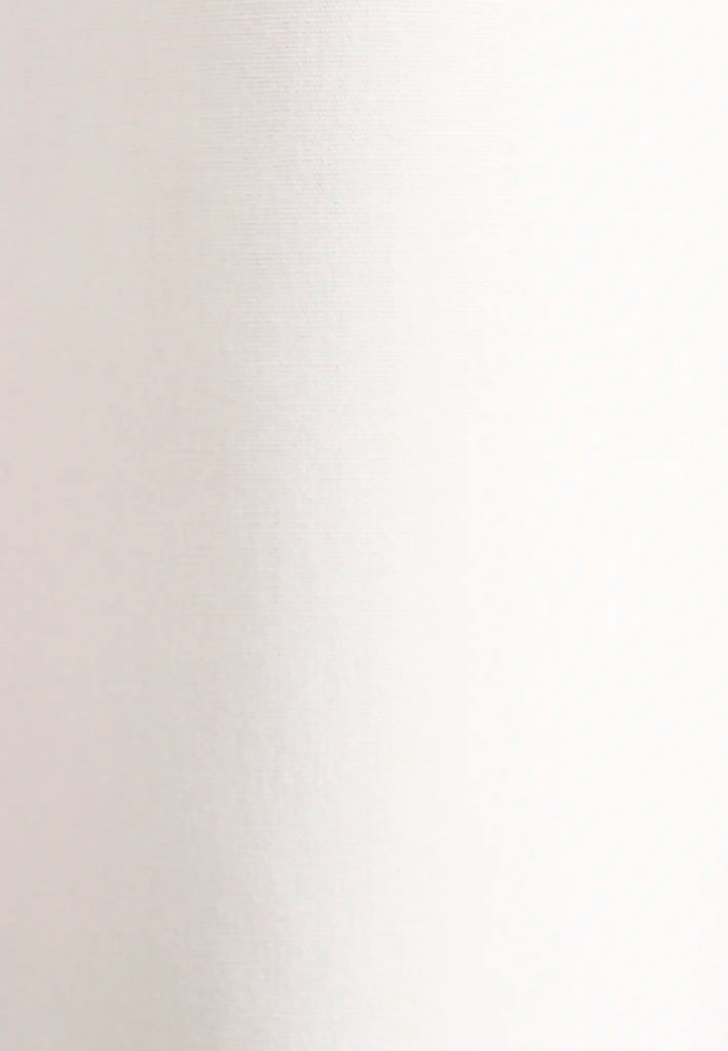 981e8dfa8d729cca9de1c7645334627a