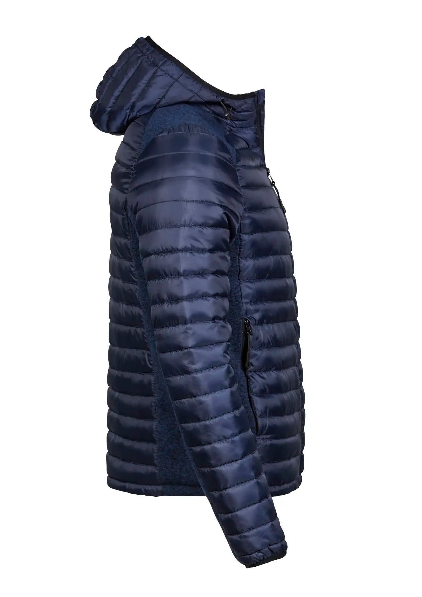 ebe0f1a398cc1ef59c95807b553e3271