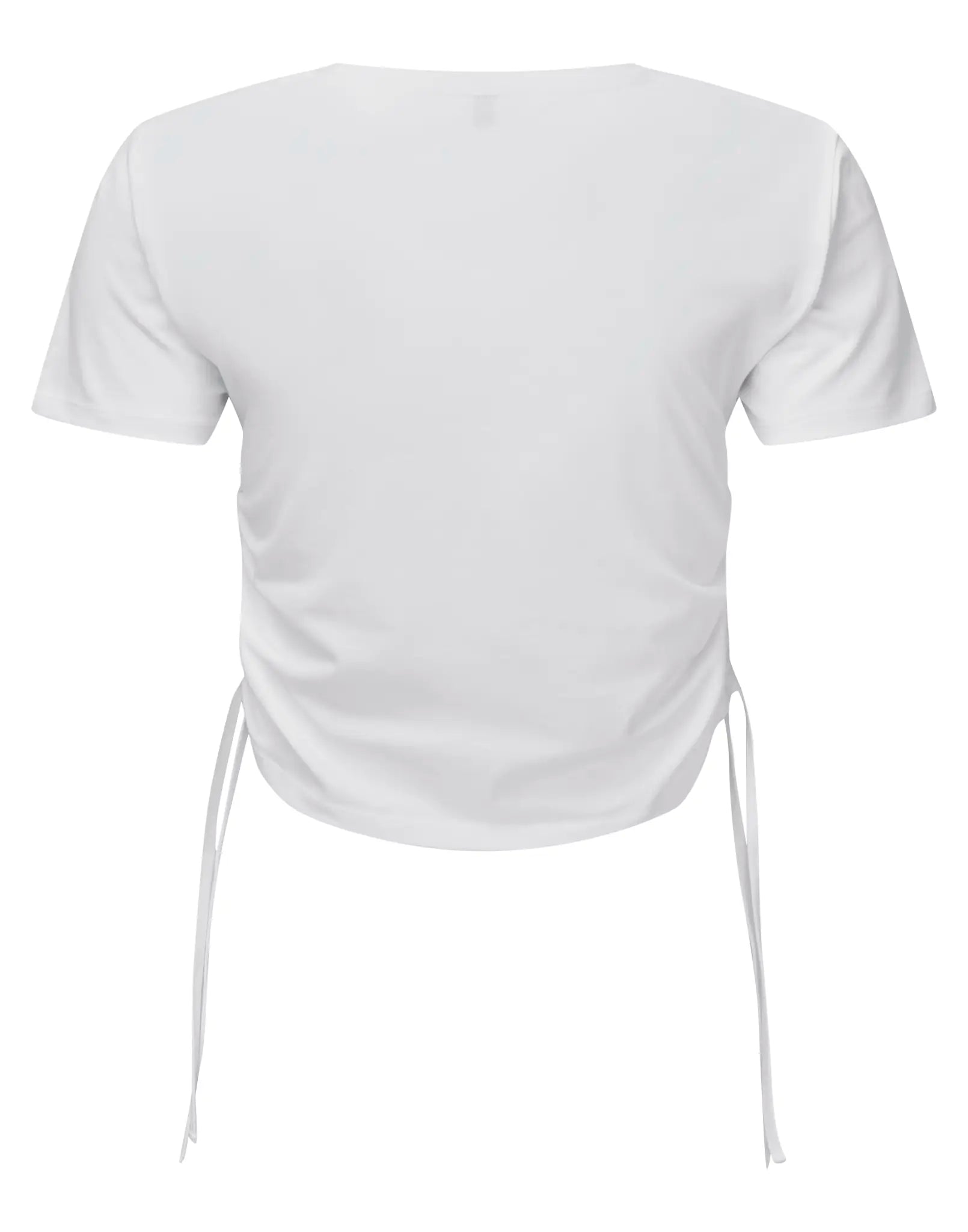 a1fb3613393e1c9184b529275fb65fd9