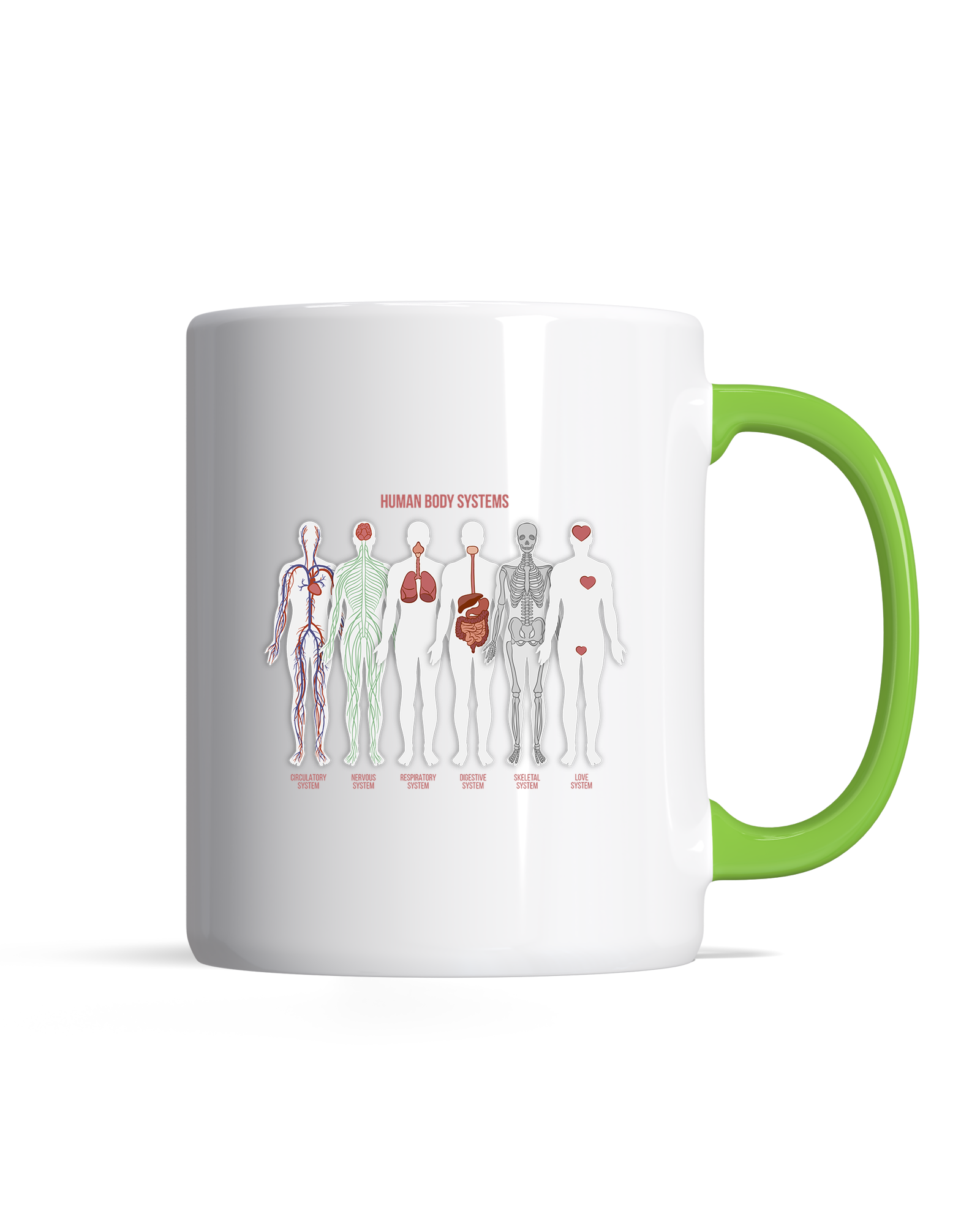 bundle-src:https://cdn.shopify.com/s/files/1/0946/1078/4639/files/Premiummuglightgreen.png?v=1772098849