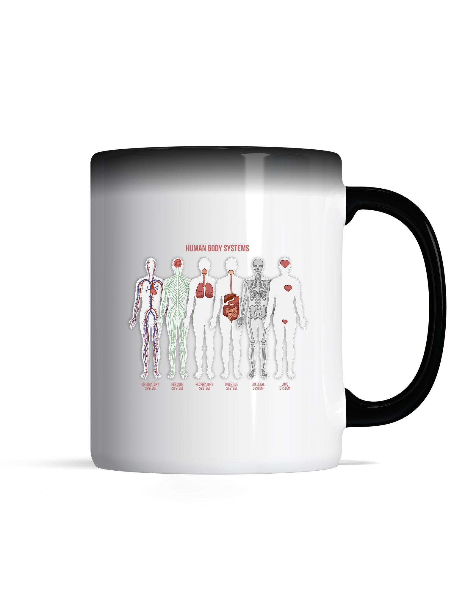 bundle-src:https://cdn.shopify.com/s/files/1/0946/1078/4639/files/Magic_mug_2048x2048.png?v=1771423971