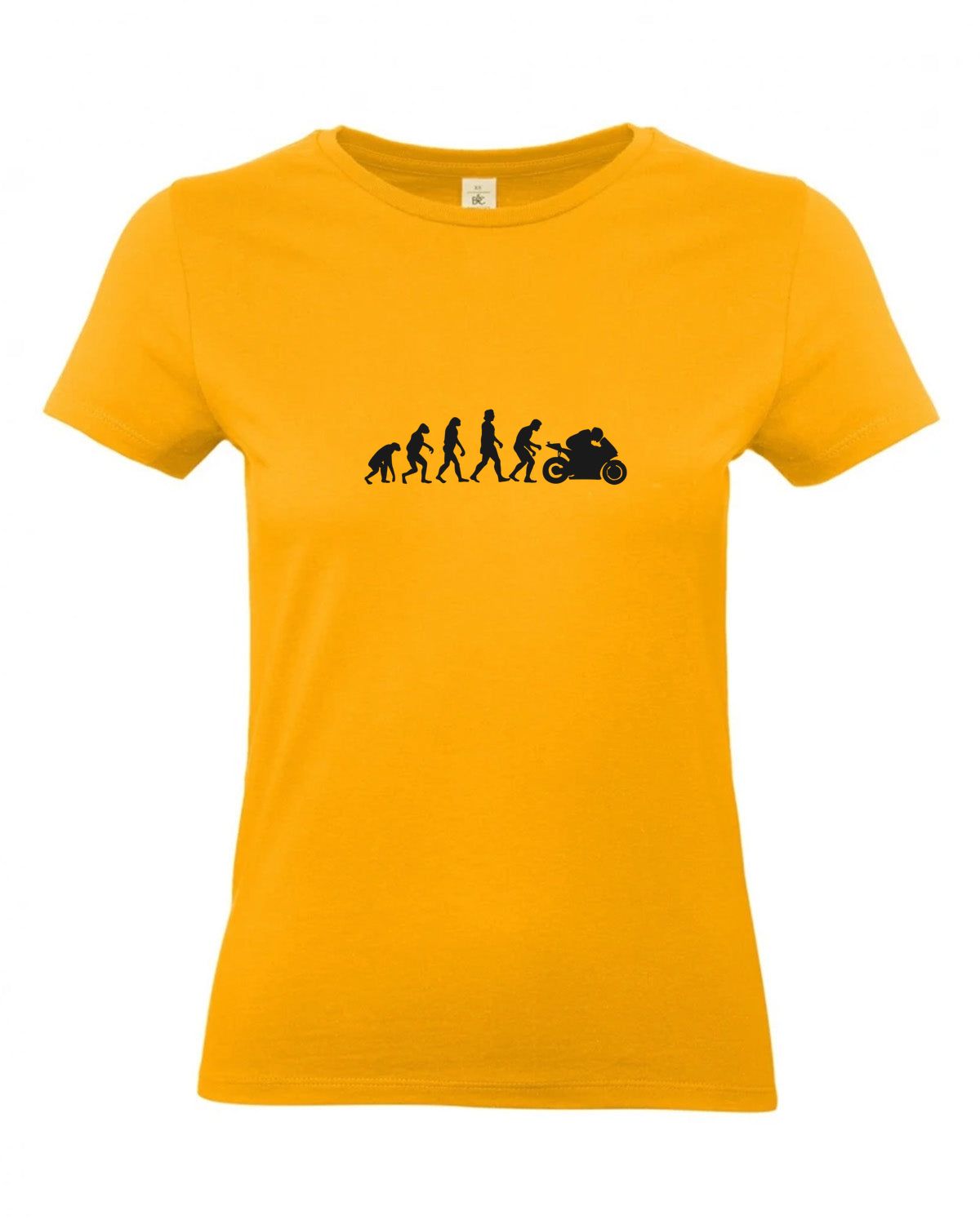 bundle-src:https://cdn.shopify.com/s/files/1/0946/1078/4639/files/TW04T_P_BC_220_01.jpg?v=1772459365