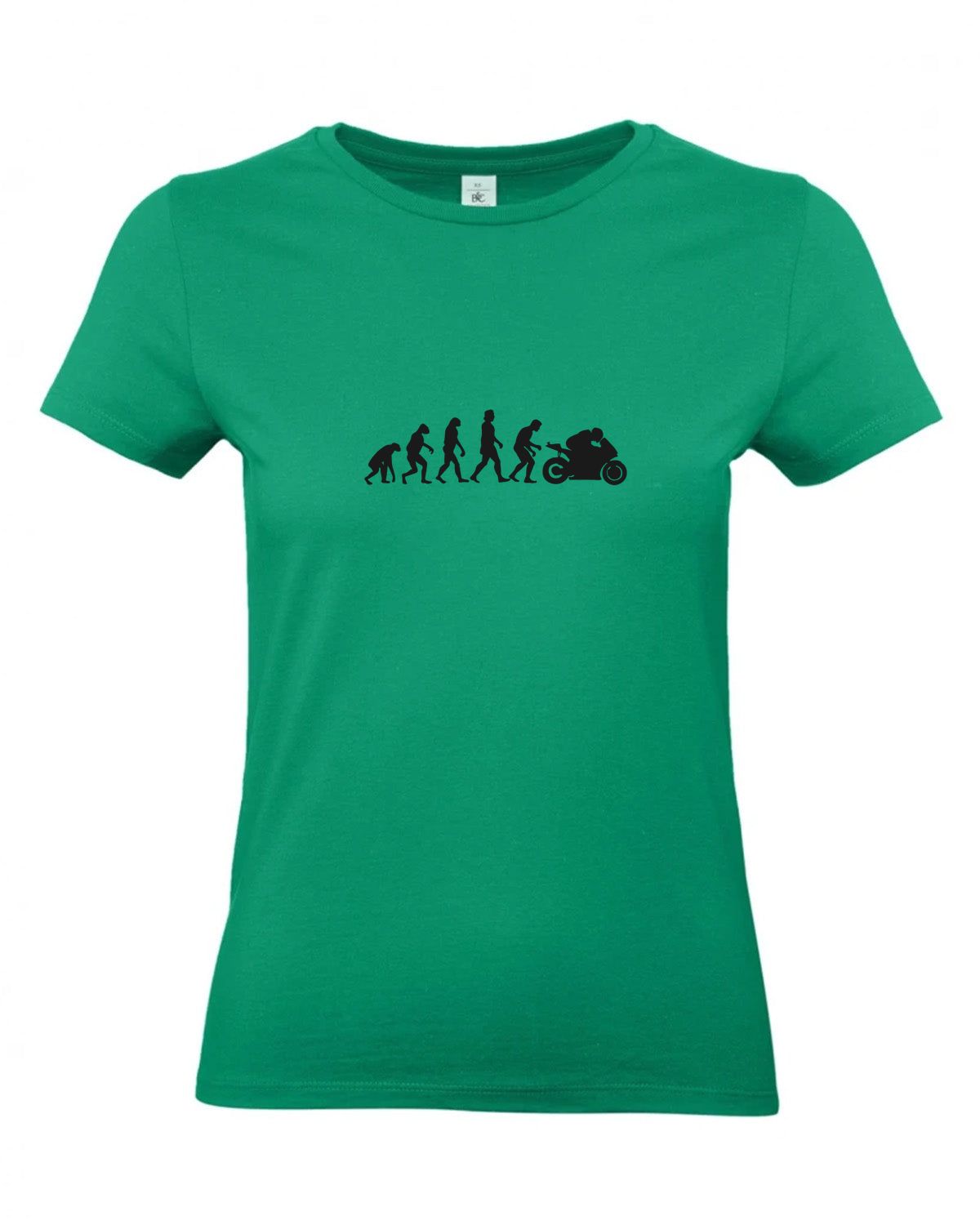 bundle-src:https://cdn.shopify.com/s/files/1/0946/1078/4639/files/TW04T_P_BC_520_01.jpg?v=1772459365