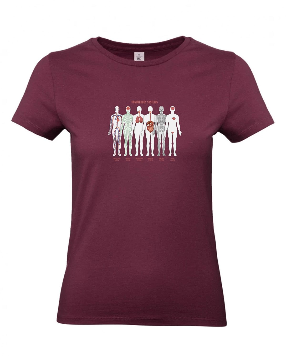 bundle-src:https://cdn.shopify.com/s/files/1/0946/1078/4639/files/TW04T_P_BC_370_01.jpg?v=1772459365