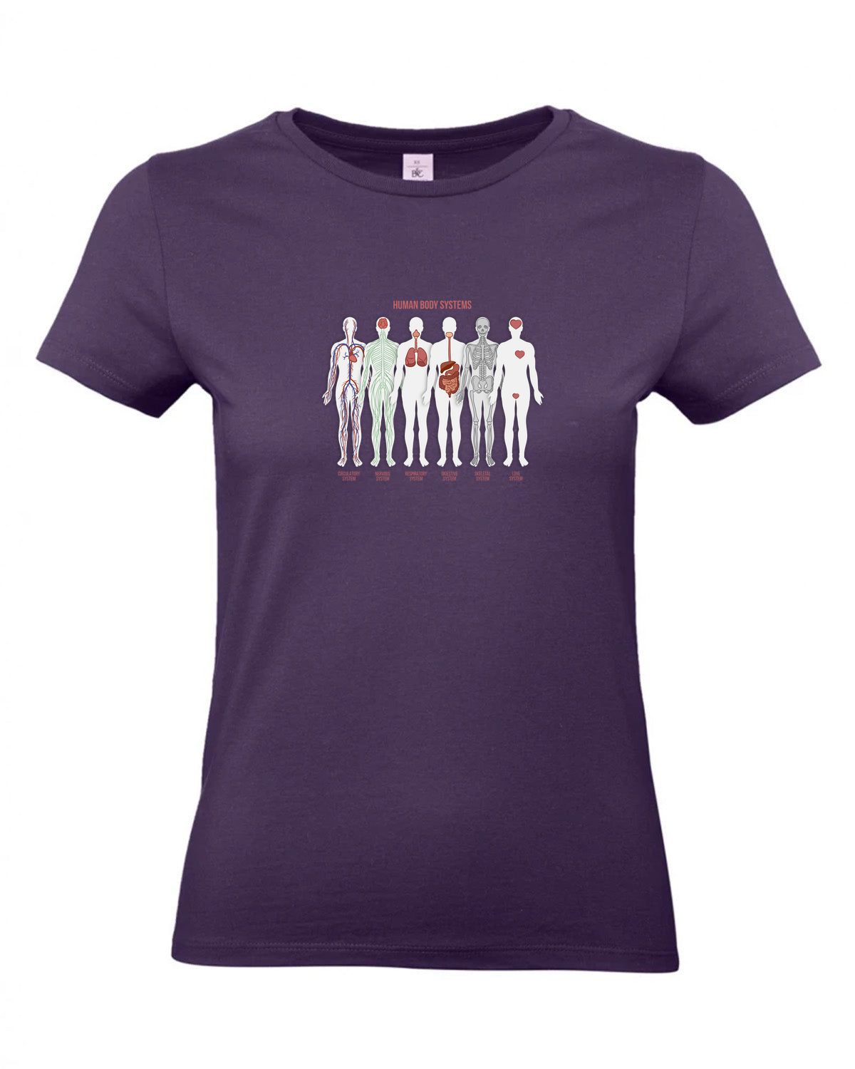 bundle-src:https://cdn.shopify.com/s/files/1/0946/1078/4639/files/TW04T_P_BC_351_01.jpg?v=1772459365