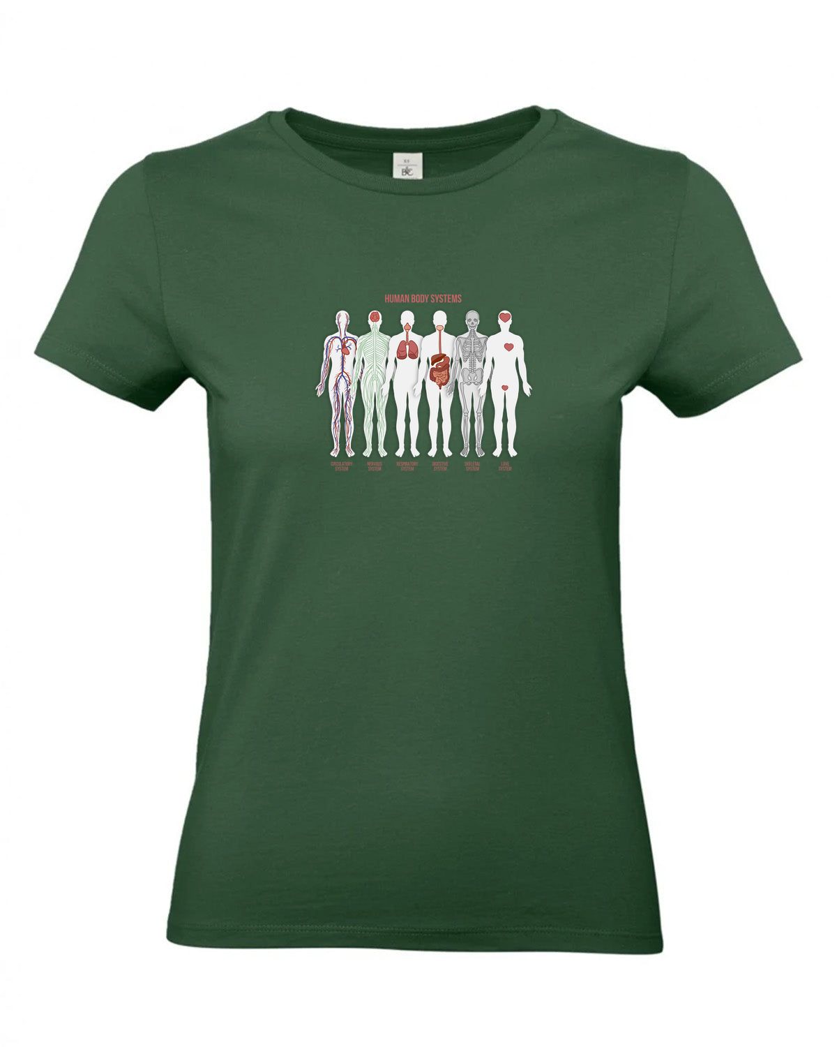 bundle-src:https://cdn.shopify.com/s/files/1/0946/1078/4639/files/TW04T_P_BC_540_01.jpg?v=1772459365