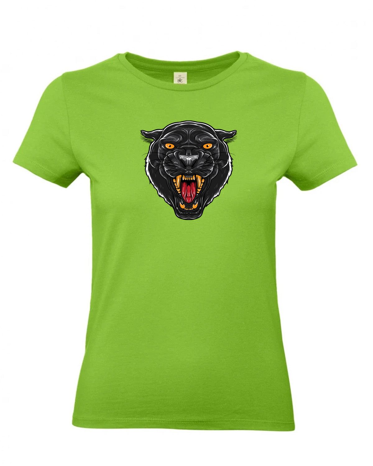 bundle-src:https://cdn.shopify.com/s/files/1/0946/1078/4639/files/TW04T_P_BC_511_01.jpg?v=1772459365