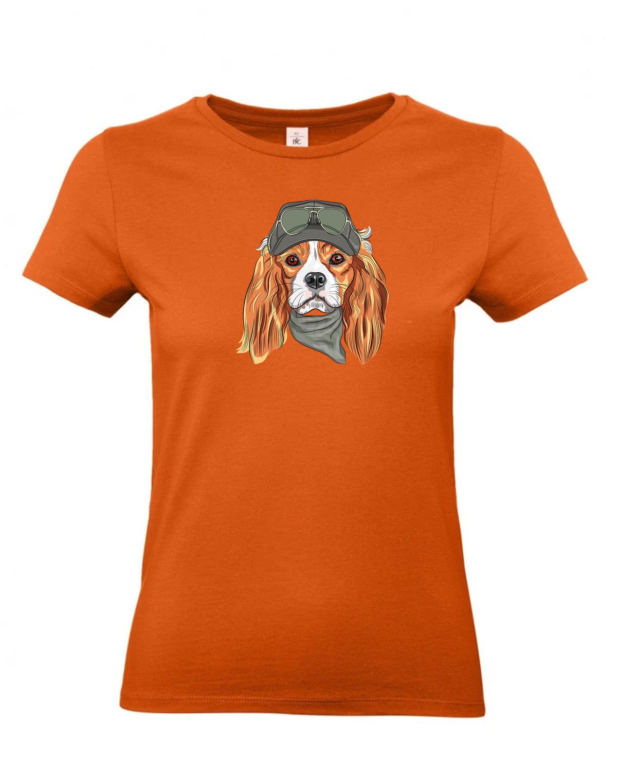 bundle-src:https://cdn.shopify.com/s/files/1/0946/1078/4639/files/TW04T_P_BC_231_01.jpg?v=1772459365