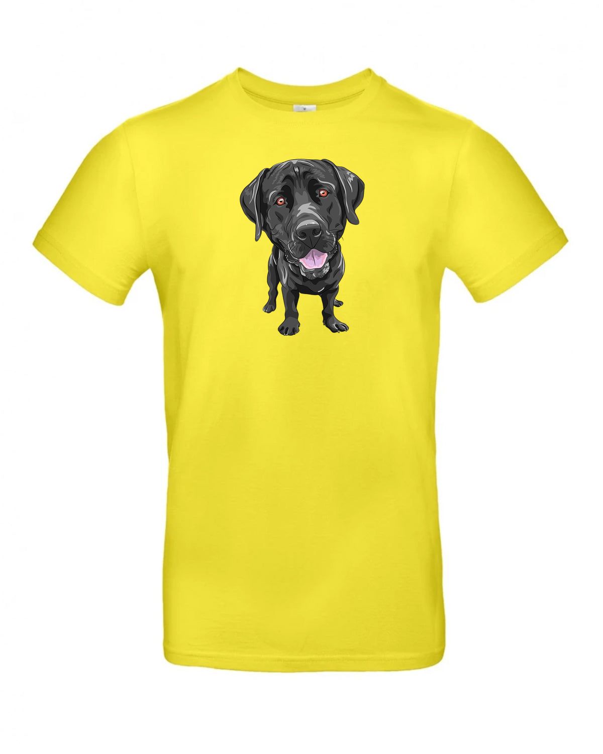 bundle-src:https://cdn.shopify.com/s/files/1/0946/1078/4639/files/TU03T_P_BC_201_01.jpg?v=1772523893