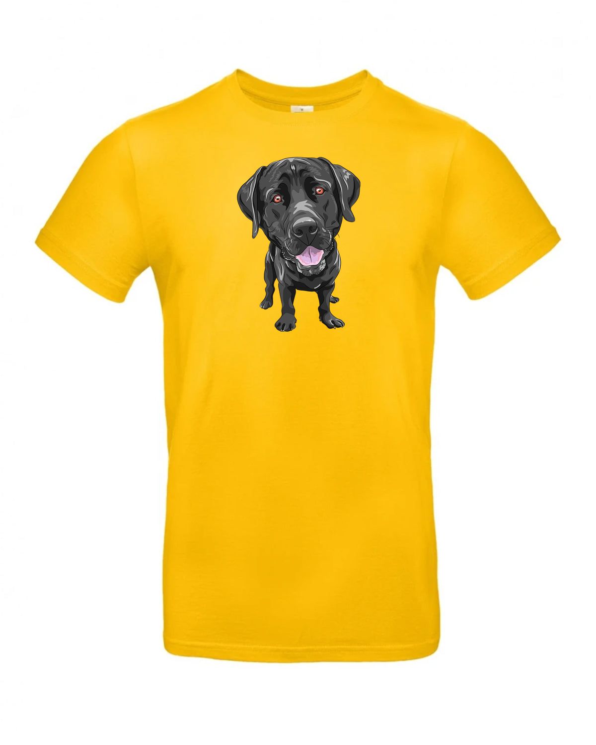 bundle-src:https://cdn.shopify.com/s/files/1/0946/1078/4639/files/TU03T_P_BC_210_01.jpg?v=1772523893