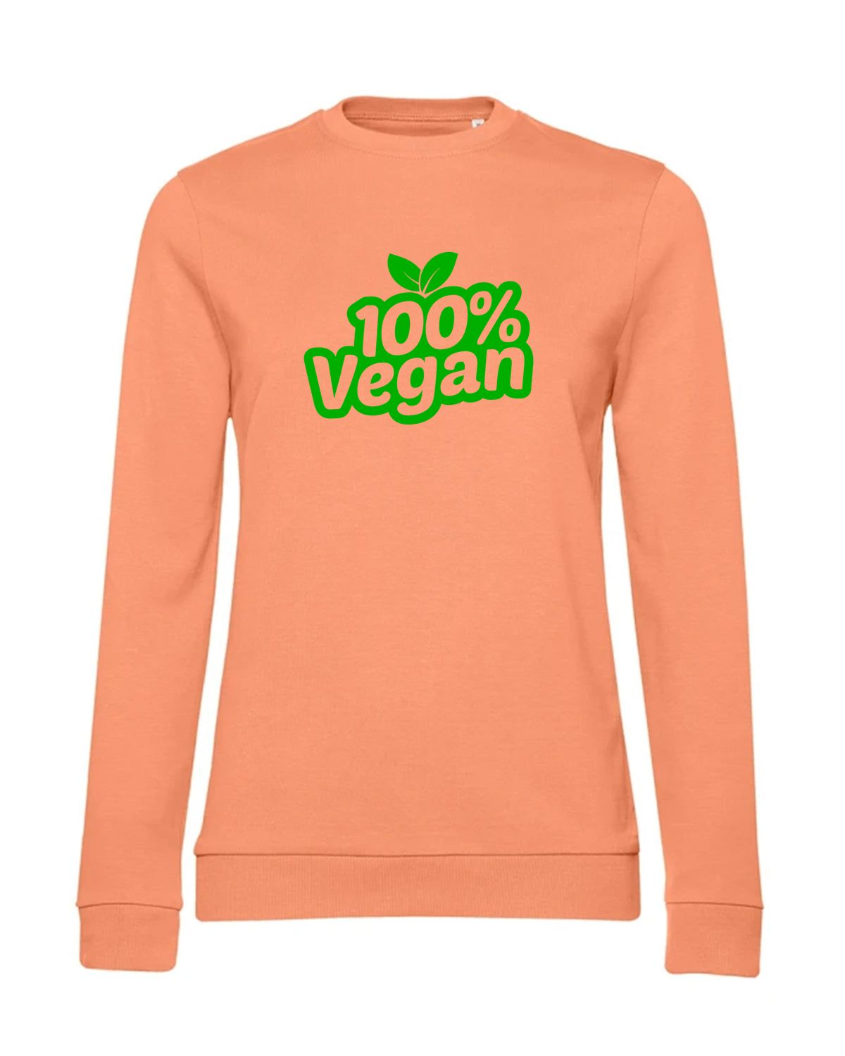 bundle-src:https://cdn.shopify.com/s/files/1/0946/1078/4639/files/WW02W_P_BC_255_01.jpg?v=1773067021