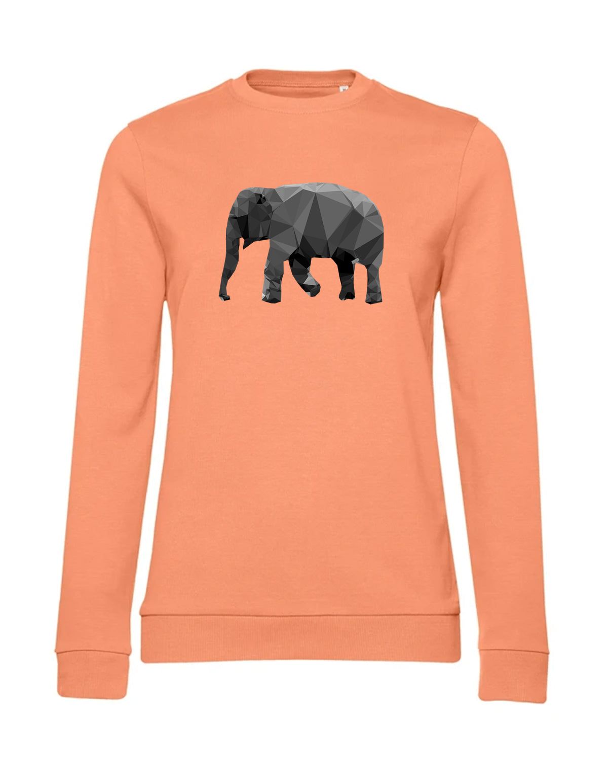 bundle-src:https://cdn.shopify.com/s/files/1/0946/1078/4639/files/WW02W_P_BC_255_01.jpg?v=1773067021