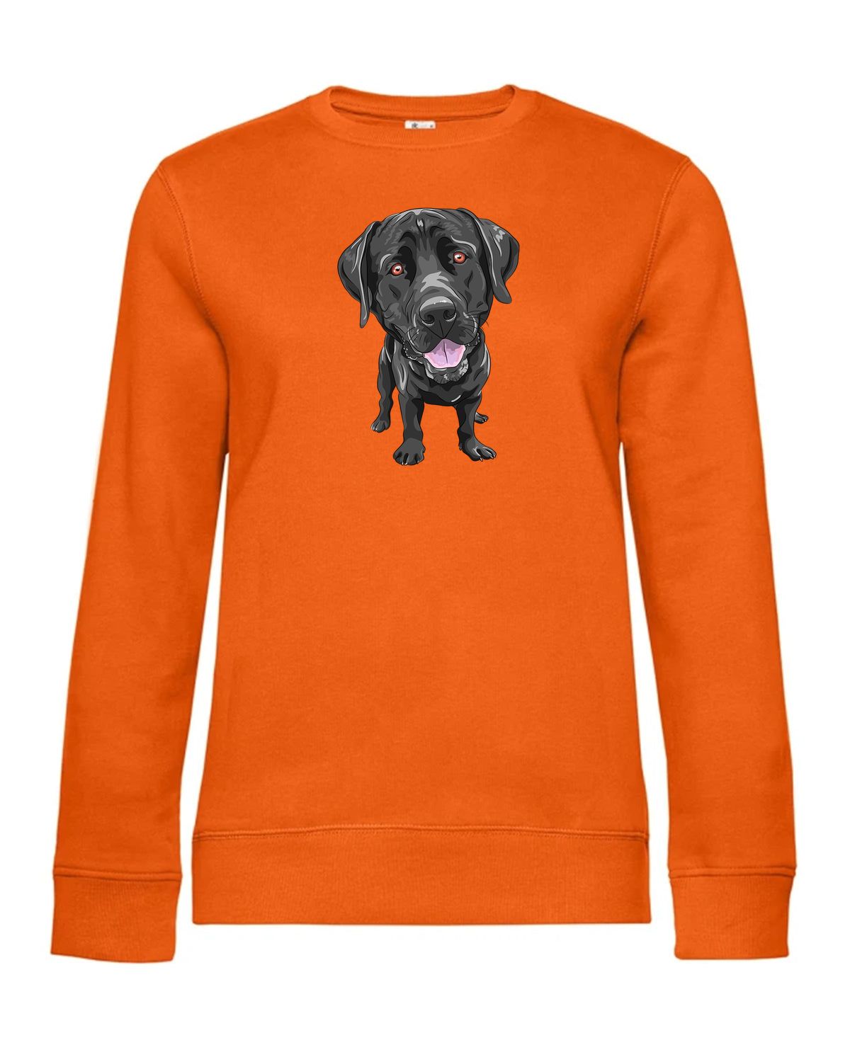 bundle-src:https://cdn.shopify.com/s/files/1/0946/1078/4639/files/WW01Q_P_BC_233_01.jpg?v=1773217929