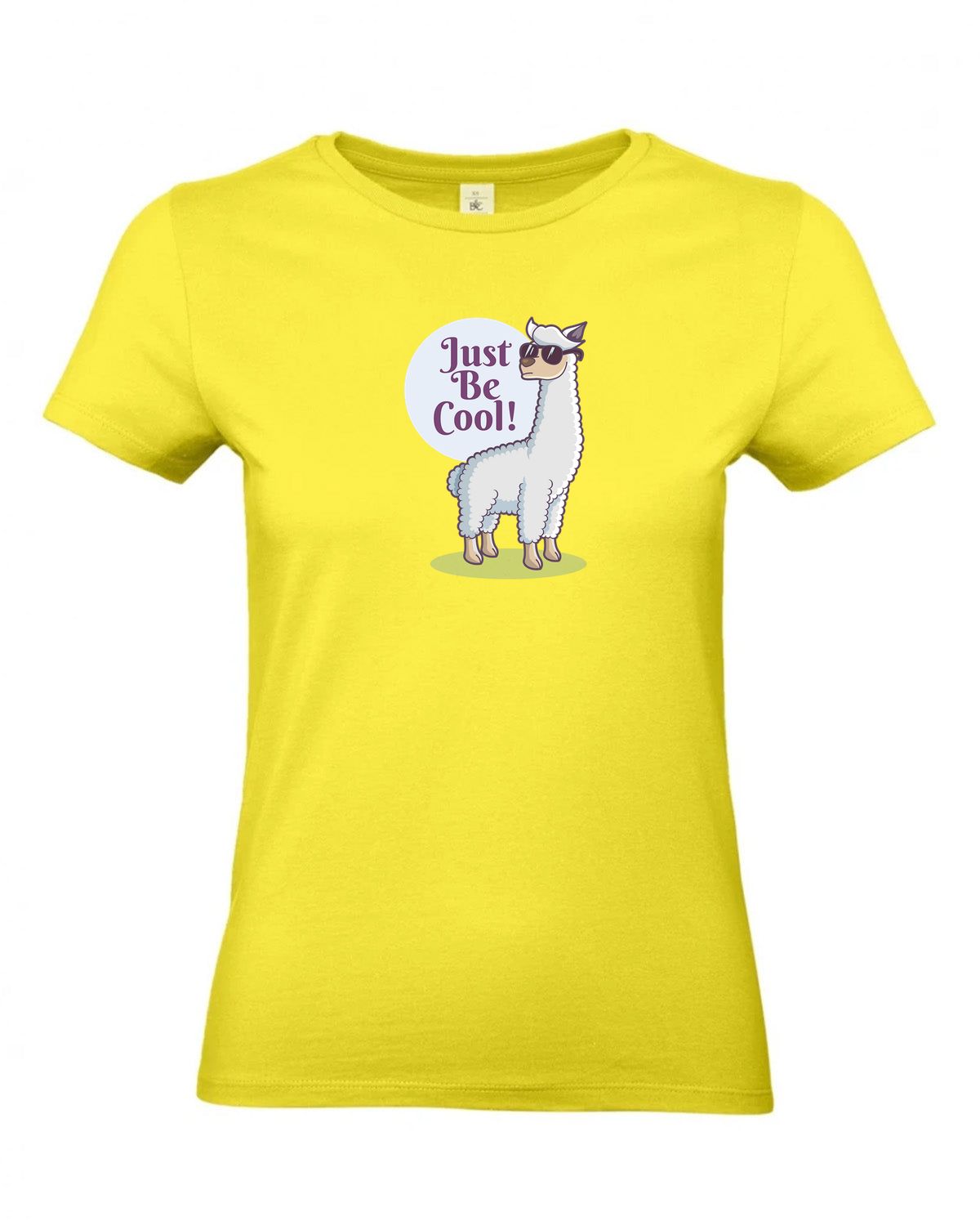 bundle-src:https://cdn.shopify.com/s/files/1/0946/1078/4639/files/TW04T_P_BC_201_01.jpg?v=1772459365