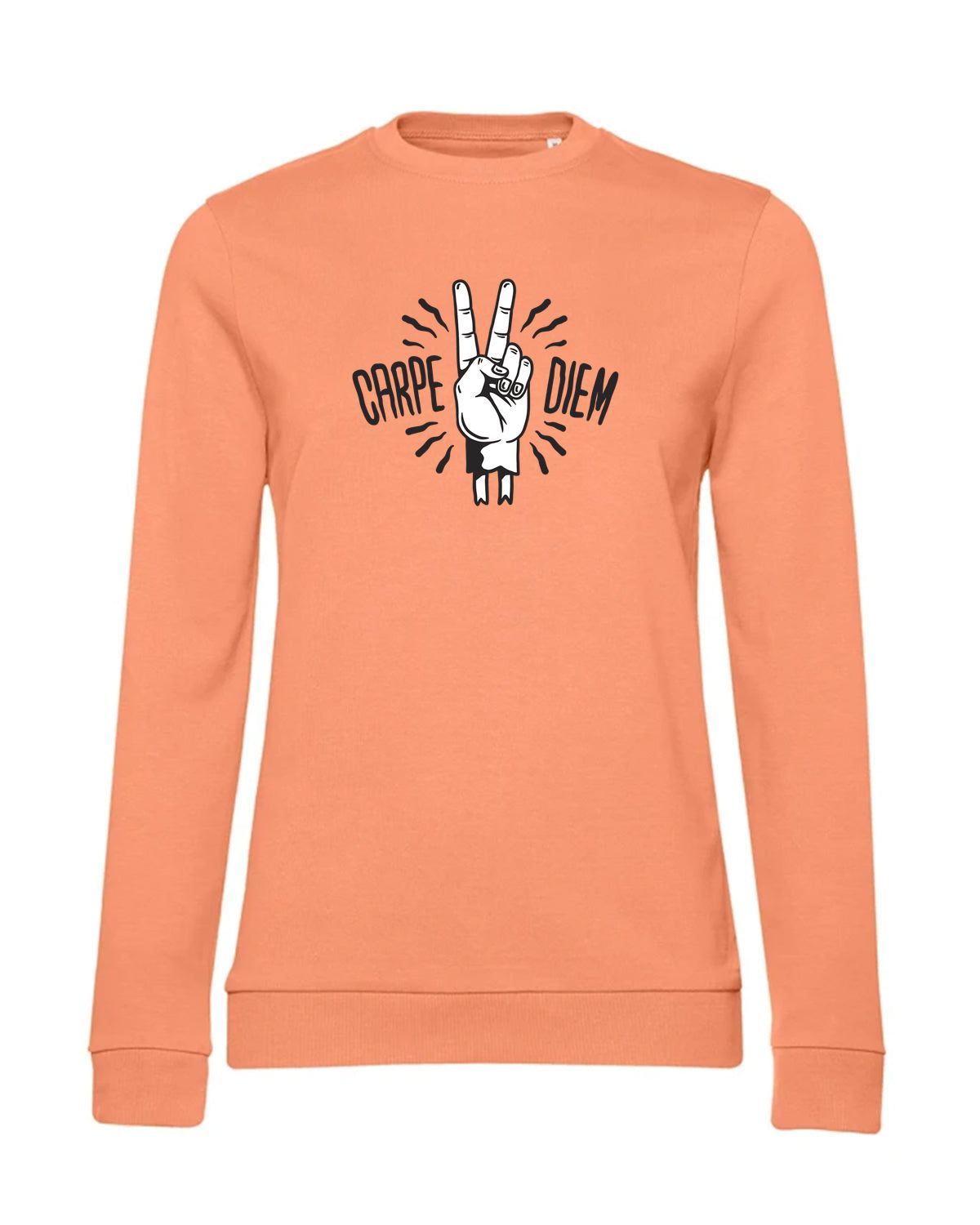 bundle-src:https://cdn.shopify.com/s/files/1/0946/1078/4639/files/WW02W_P_BC_255_01.jpg?v=1773067021